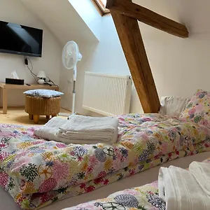 Mezonet Svitkov 21 Apartmán Pardubice